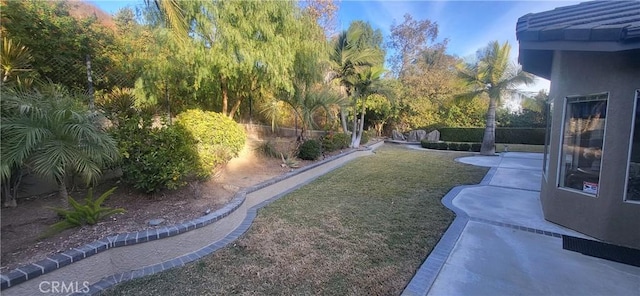 view of yard with a patio