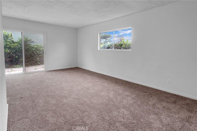 carpeted spare room featuring a textured ceiling, a wealth of natural light, and baseboards