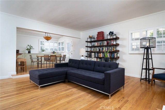 living room featuring crown molding and wood-type flooring