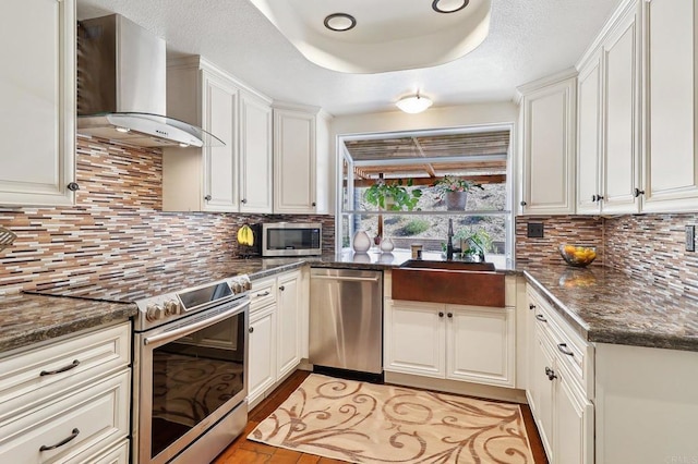 kitchen with a tray ceiling, stainless steel appliances, backsplash, a sink, and wall chimney range hood