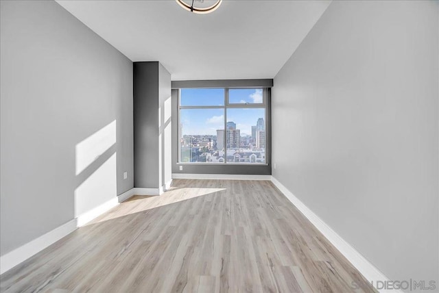 empty room featuring light wood-type flooring