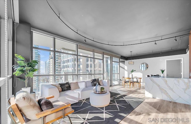 living room featuring hardwood / wood-style flooring