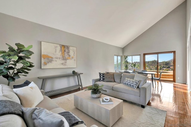 living room with high vaulted ceiling and light hardwood / wood-style floors