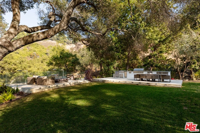 view of yard with a patio and area for grilling