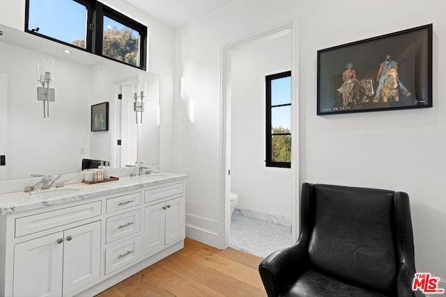 bathroom with wood-type flooring, vanity, and toilet