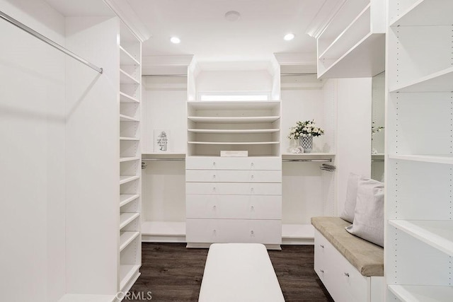 walk in closet featuring dark wood-type flooring