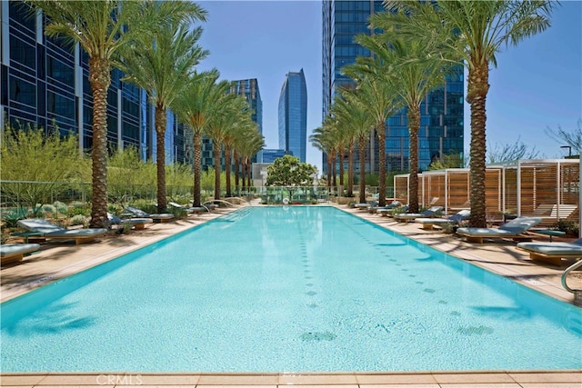 pool featuring a patio and fence