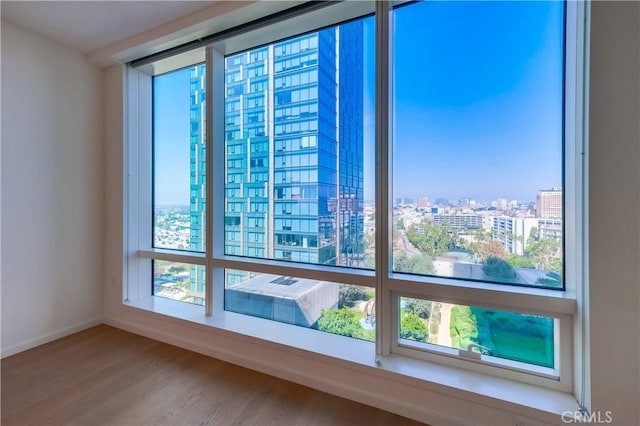 details featuring a city view and wood finished floors