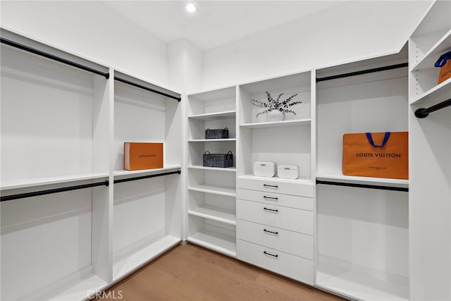 spacious closet featuring wood-type flooring