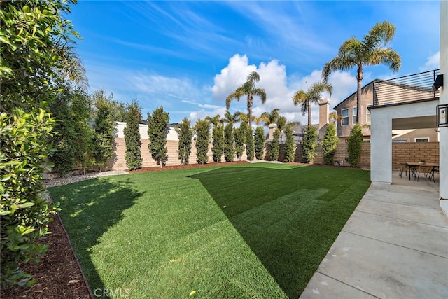 view of yard featuring a patio area