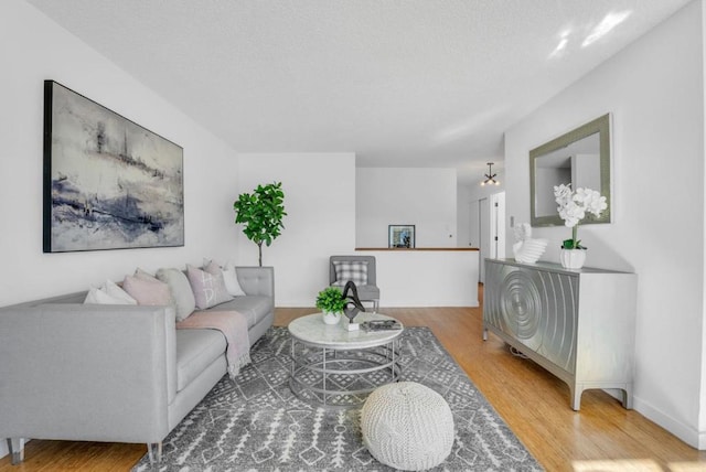 living room with hardwood / wood-style floors