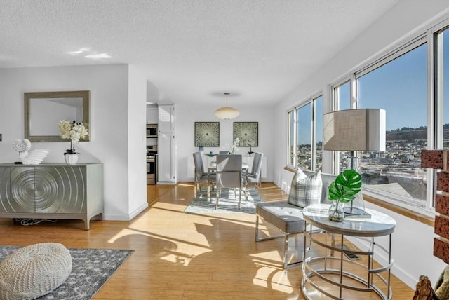 dining room with a textured ceiling and light hardwood / wood-style flooring