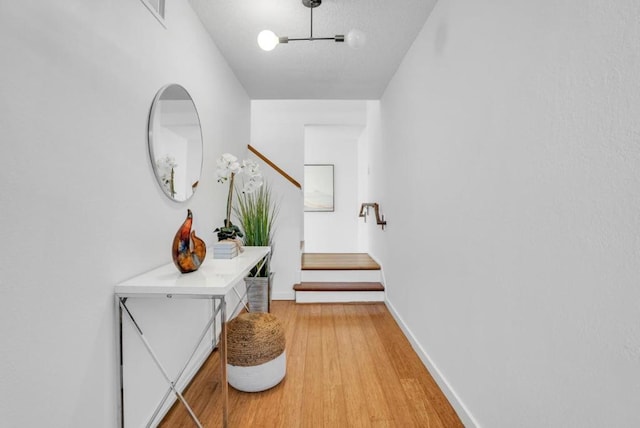 corridor with hardwood / wood-style flooring