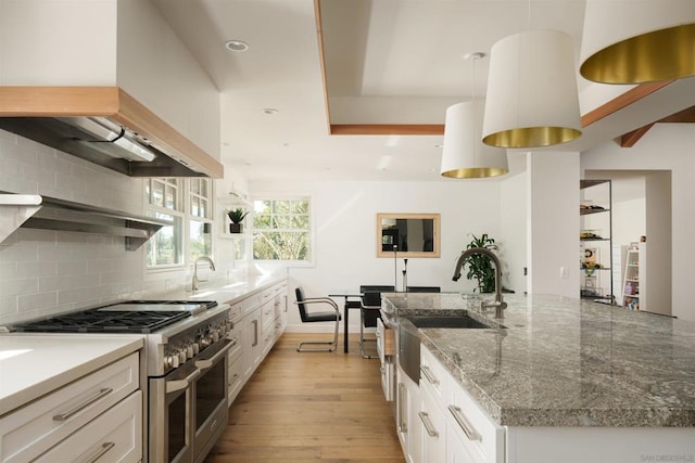 kitchen with light hardwood / wood-style flooring, high end stainless steel range oven, premium range hood, white cabinetry, and tasteful backsplash