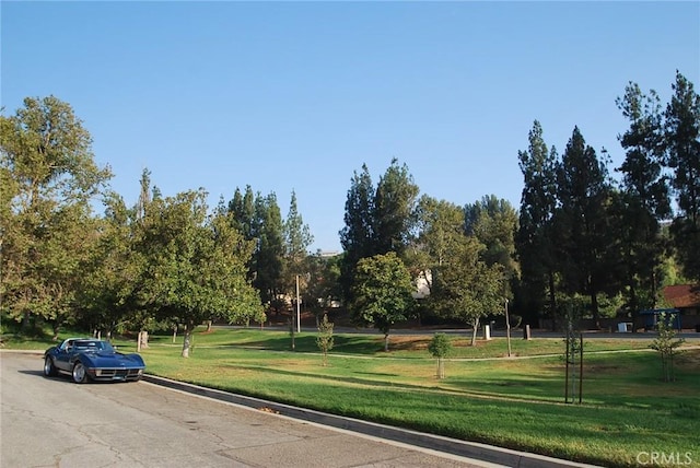 exterior space featuring a lawn