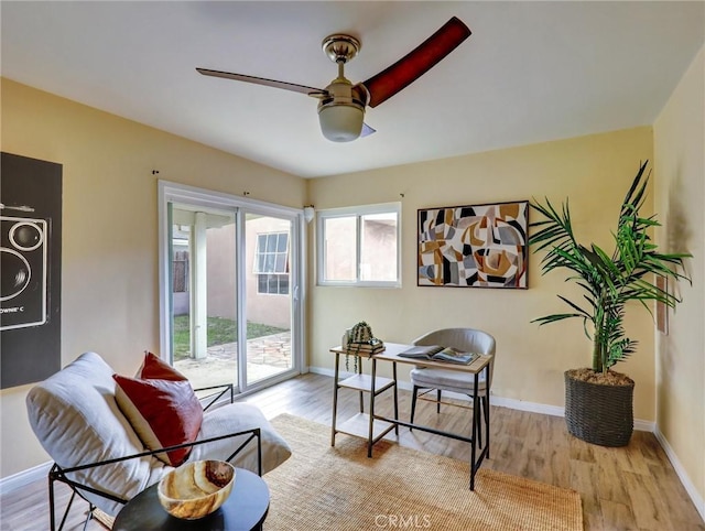 office space featuring light hardwood / wood-style floors and ceiling fan