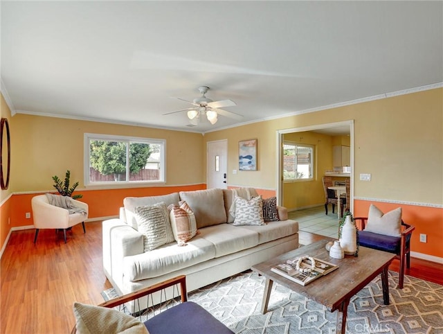 living room with hardwood / wood-style floors, crown molding, and ceiling fan