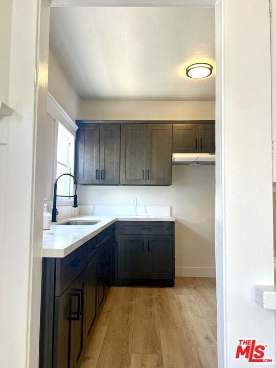 kitchen featuring sink, dark brown cabinetry, and light hardwood / wood-style flooring