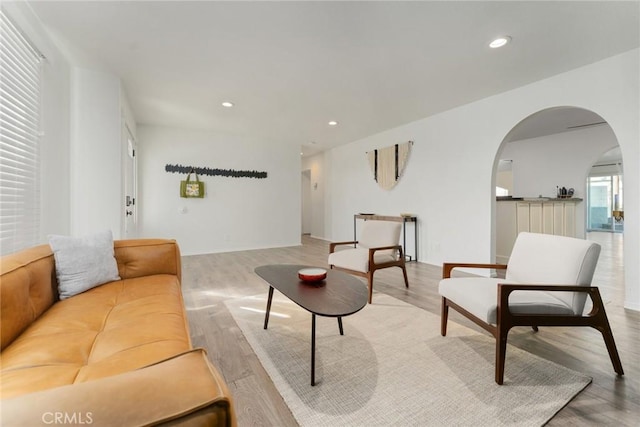 living room with light wood-type flooring