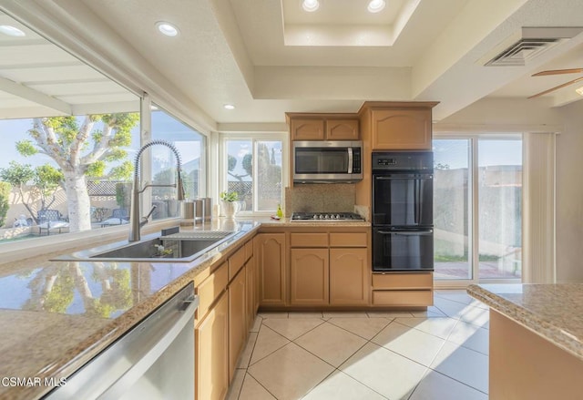 kitchen featuring appliances with stainless steel finishes, a tray ceiling, sink, and a wealth of natural light