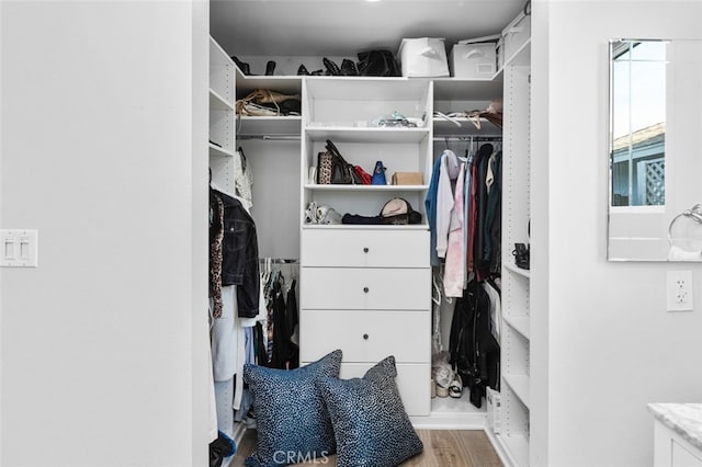 spacious closet with hardwood / wood-style floors