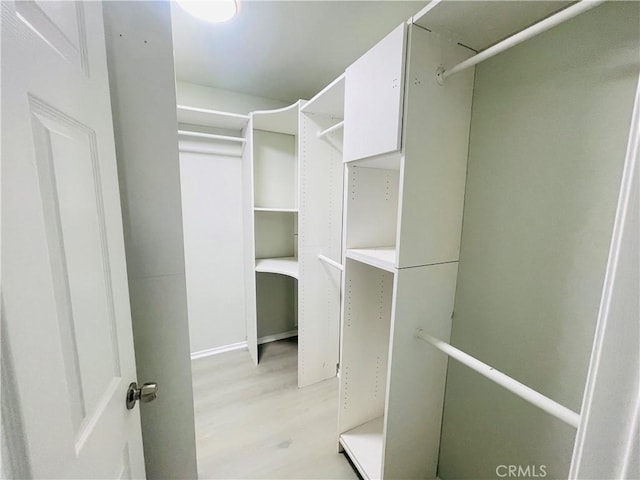 walk in closet with light wood-type flooring