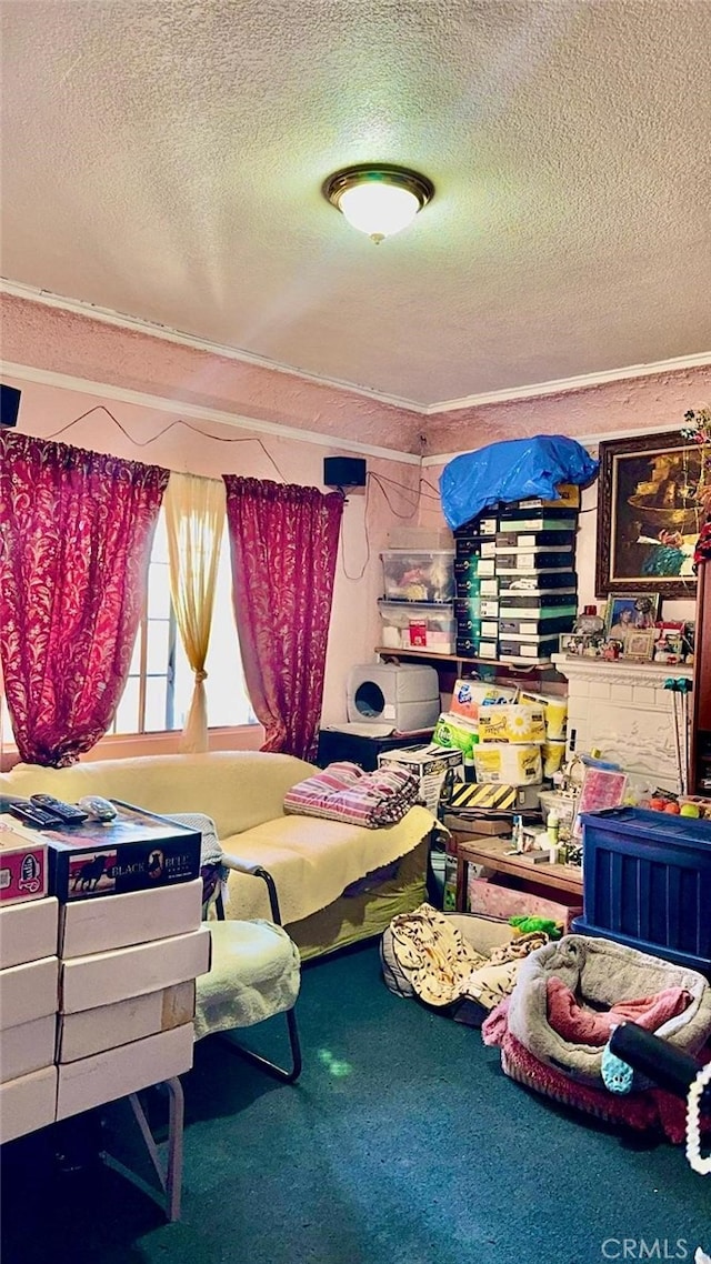 bedroom featuring carpet and a textured ceiling