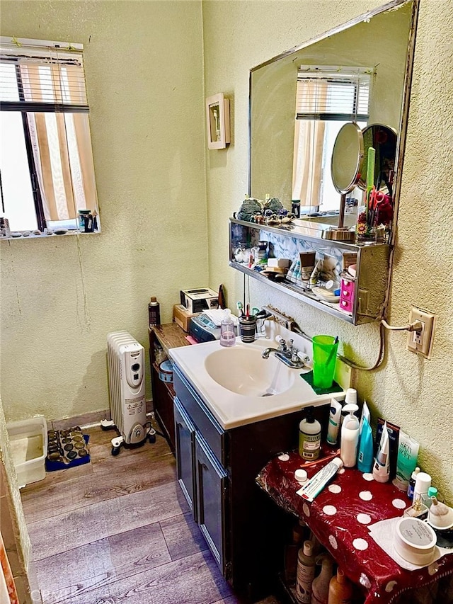 bathroom featuring hardwood / wood-style flooring and vanity