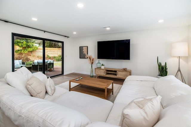 living room featuring wood-type flooring