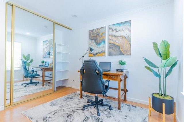 office with crown molding and wood-type flooring