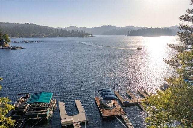 property view of water featuring a dock