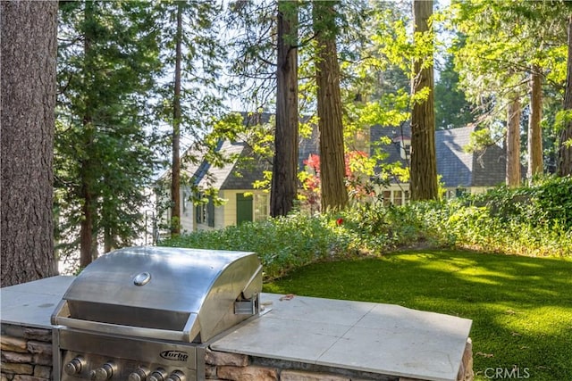 view of yard featuring an outdoor kitchen