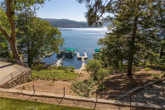 water view featuring a boat dock