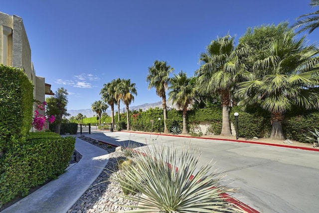 view of property's community with a mountain view