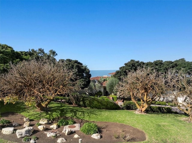 view of yard with a water view