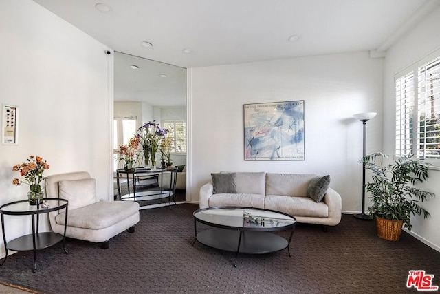 carpeted living room with plenty of natural light