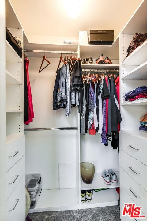 view of walk in closet