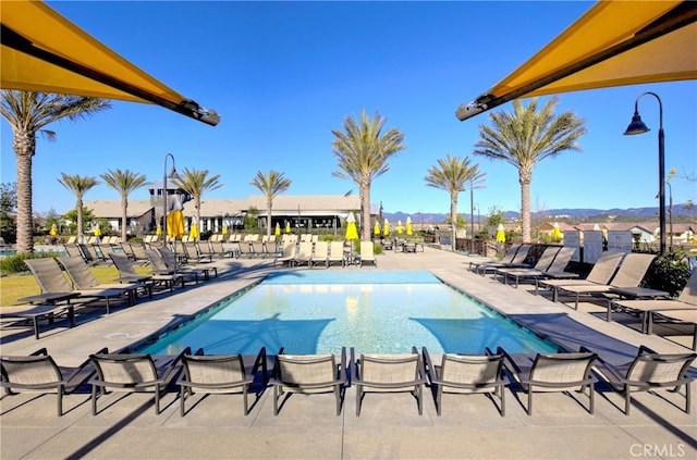 view of pool featuring a patio