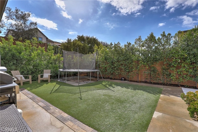 view of yard featuring a trampoline and a patio area