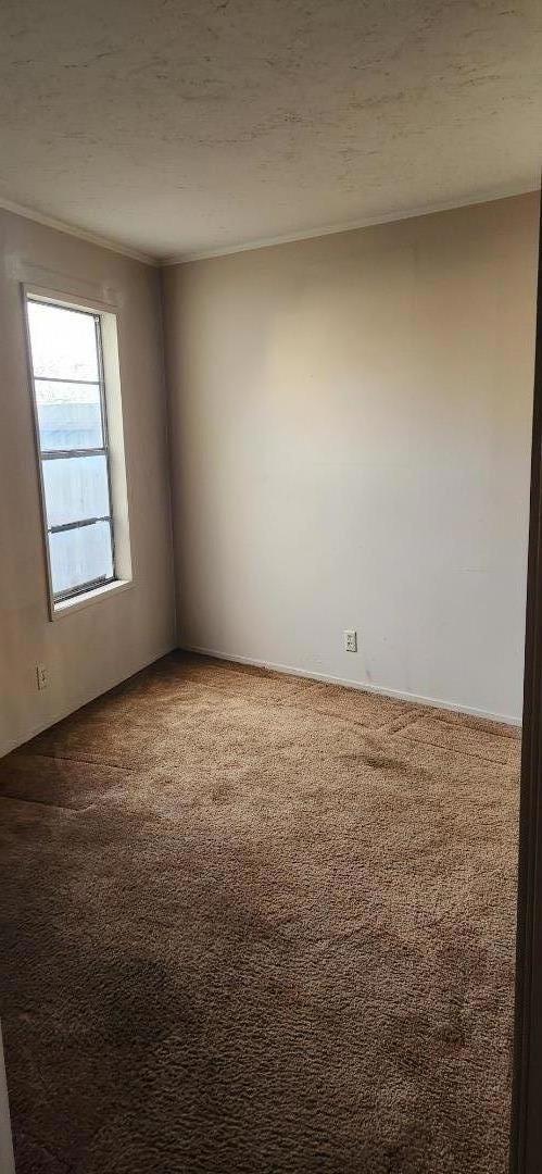 carpeted spare room with a textured ceiling