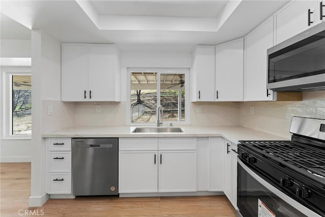 kitchen featuring appliances with stainless steel finishes, a raised ceiling, sink, and white cabinets