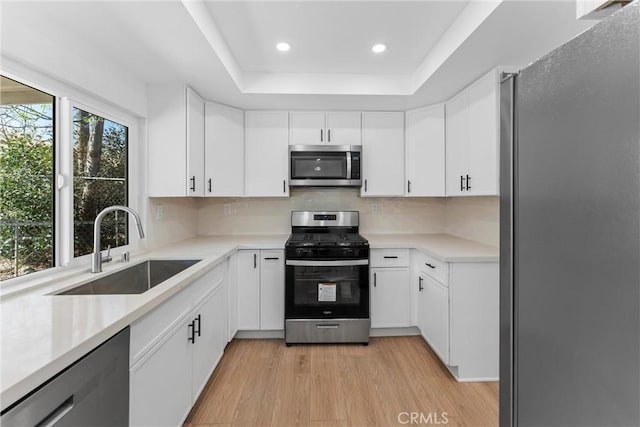 kitchen with sink, white cabinetry, stainless steel appliances, tasteful backsplash, and a raised ceiling