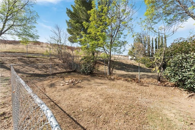 view of yard with a rural view