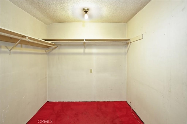 spacious closet with lofted ceiling