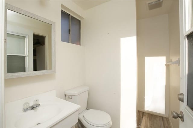 bathroom with vanity, wood-type flooring, and toilet