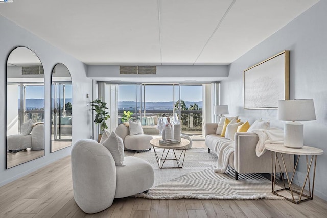 living room with a mountain view and light hardwood / wood-style floors