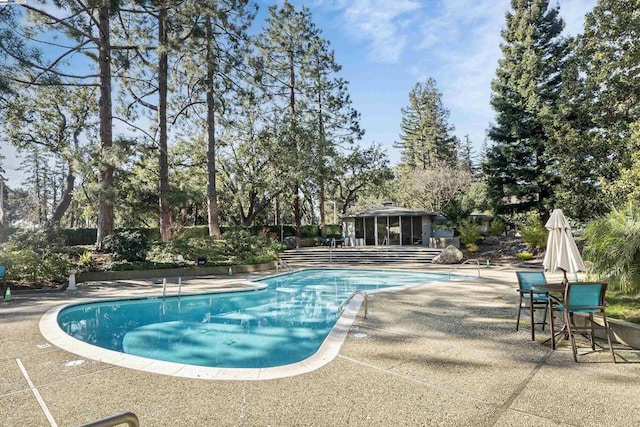 view of swimming pool featuring a patio area