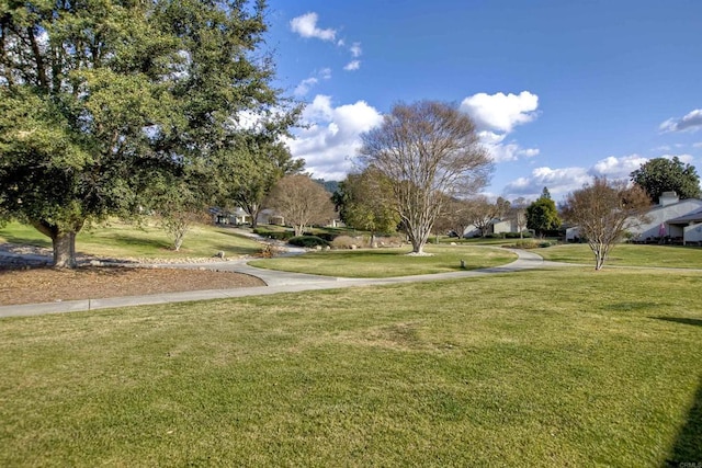 view of property's community featuring a yard