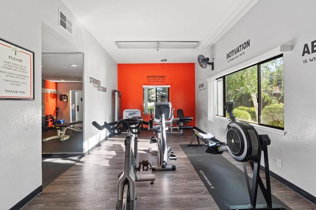 exercise room featuring dark hardwood / wood-style floors