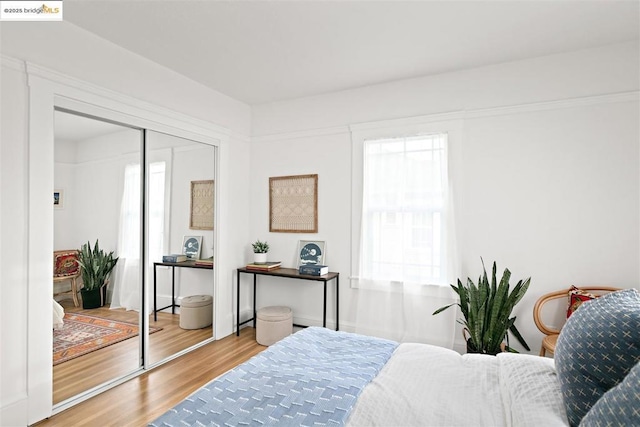 bedroom featuring hardwood / wood-style flooring and a closet